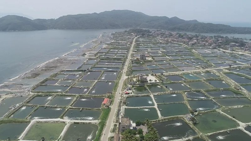 源涞福养殖：绿色生态养殖之路