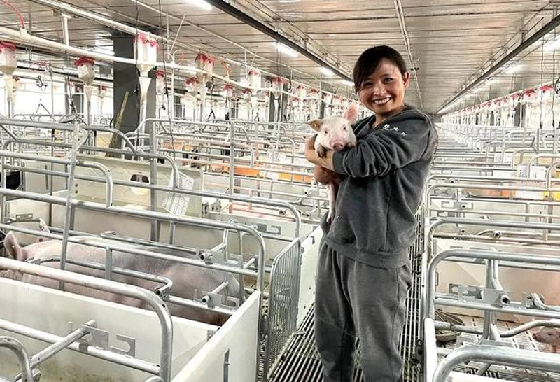 海口养殖场迎来绿色转型